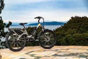 E-Bike-Gutachten